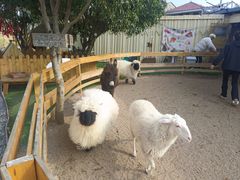 -HERRE·FARM 赫尔露营农场·团建聚会包场