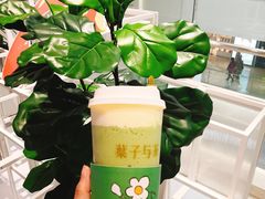 -叶子与茶(苏宁广场店)