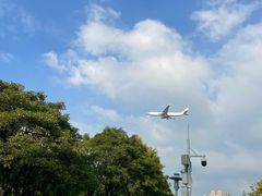-宝安西湾红树林湿地公园