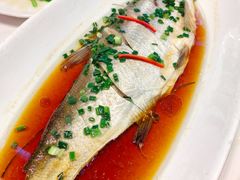古法蒸白水鱼-乾隆美食·本帮菜(黄河路店)