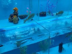 -怡咖啡·自助餐·西安香格里拉