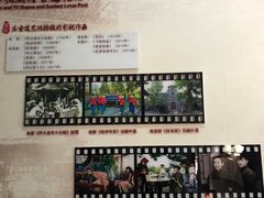 -莲池书院博物馆