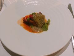 -蝶舍·MAISON PAPILLON