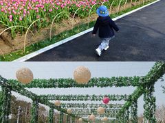 -大宁郁金香公园-停车场