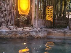 -深业半汤御泉庄温泉