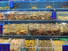 -新农都水产市场