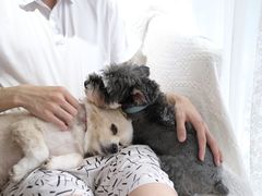 -零几体验diy皮具工作室(振业城店)