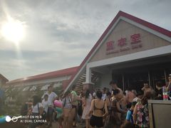 -碧海金沙