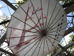 -苏州上方山国家森林公园