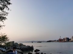 -广东惠东海龟国家级自然保护区