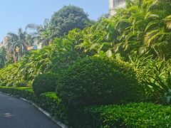 -南宁南湖公园