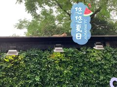 -% Arabica阿拉比卡咖啡(武康路店)