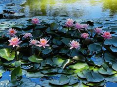 -国家植物园南园