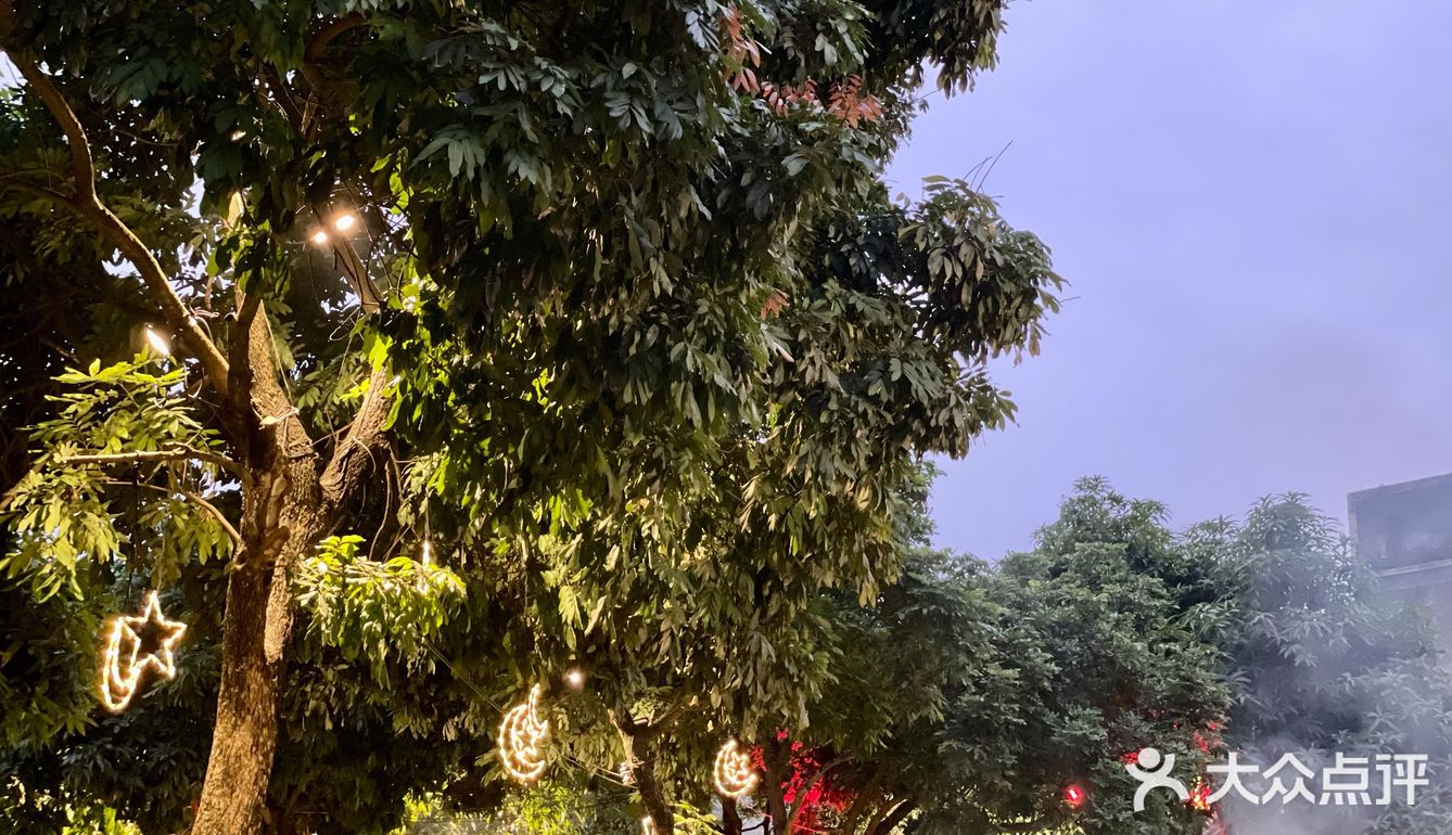 BBQ派对/聚餐/团聚