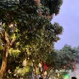 BBQ派对/聚餐/团聚