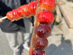 -糖葫芦王保定名吃(古莲花池店)