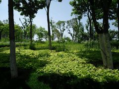 -西安市长乐公园