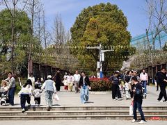 -合肥野生动物园