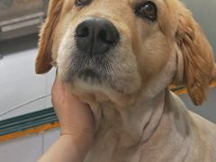 -喵汪萌宠屋旗舰店.洗澡美容.猫狗基地