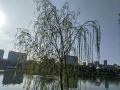 -眉山湿地公园(东坡区)