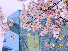 -龙美术馆(西岸馆)