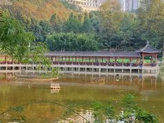 -龙头寺公园