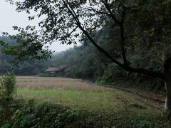 -常德桃花源景区