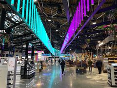 -谢列梅捷沃国际机场