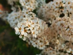 -苏州河梦清园环保主题公园