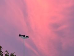 -大虎重庆老火锅(正弘城店)