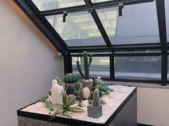 -大树餐厅(红旗街万达店)