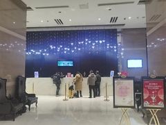 -长沙小天鹅戴斯酒店
