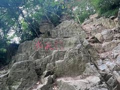 -紫金山山顶公园
