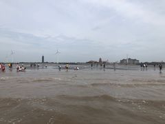 -奉贤海滩