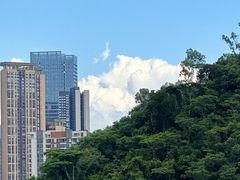 -阳台山森林公园