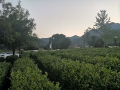 -听风阁农家私房菜茶楼(龙坞店)