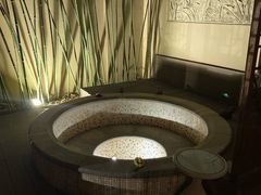 -春晖园度假酒店温泉