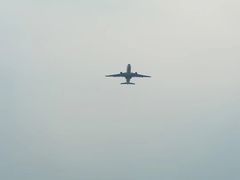 -空港花田景区