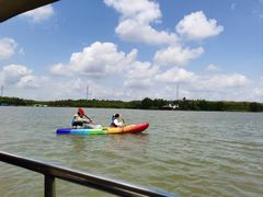 -上海海湾国家森林公园