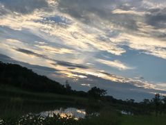 -两河城市森林公园
