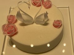 -BLACKSWAN黑天鹅(新希望店)