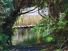 -燕晗山郊野公园
