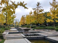 -杭州城北体育公园