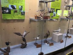 -陕西自然博物馆