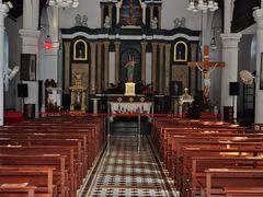 -上海佘山国家森林公园西佘山园