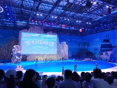 -华夏文旅海洋公园