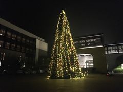 -上海崇明金茂凯悦酒店