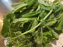 -红鼎坊·老成都火锅(新南门店)