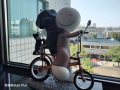 -王府半岛酒店