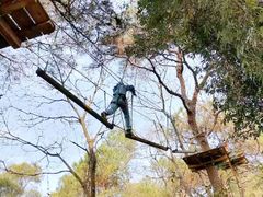 -芦仙山景区-飞越丛林探险乐园